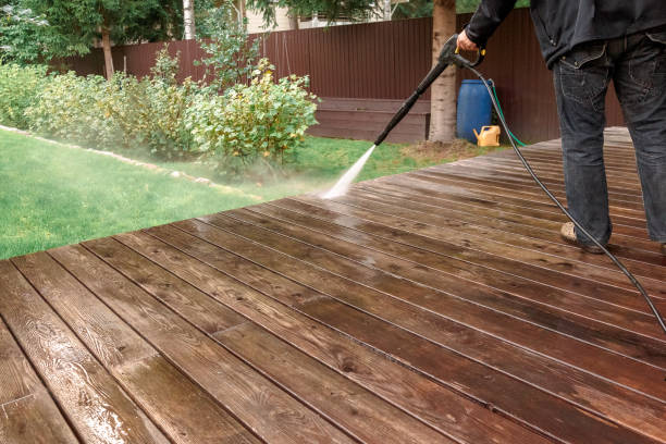 Best Roof Cleaning and Mildew Removal in Fairfield, TX